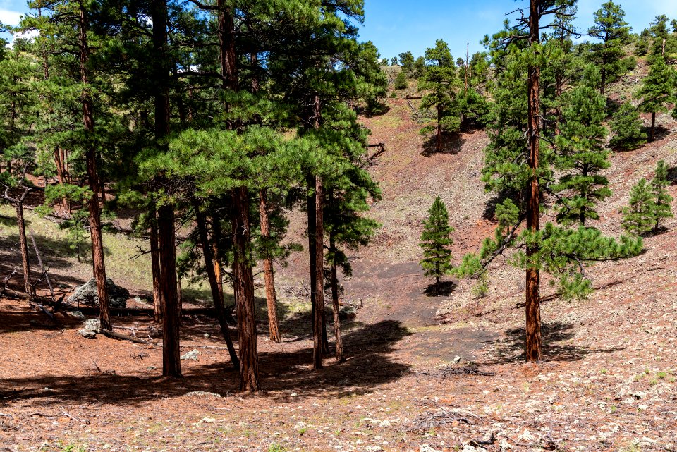 Crater Hike (August 26, 2018)