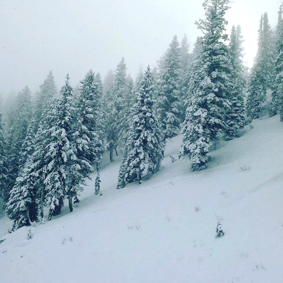 121115 Snow Pack Pilot Peak BNF