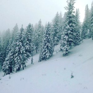 121115 Snow Pack Pilot Peak BNF