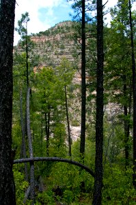 Little L.O. Trail No. 6