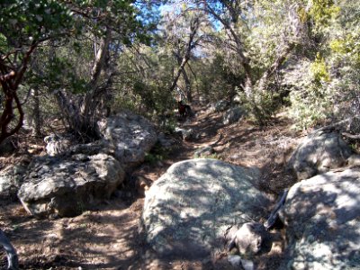 David Miller Trail