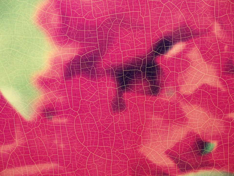 150303-125120-P3030423