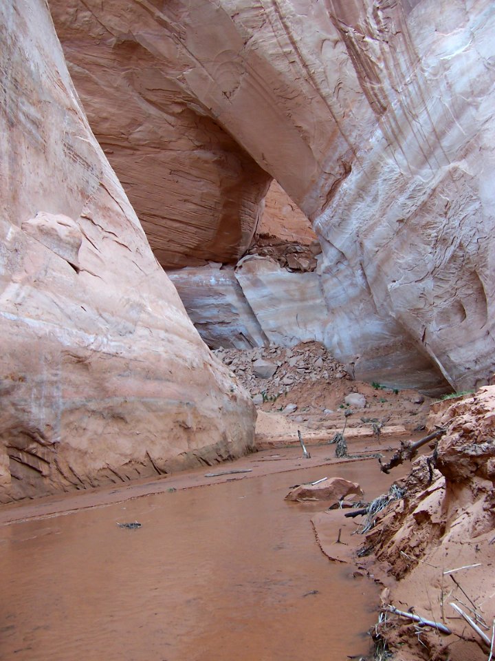 Lake Powell - Davis Gulch 2005