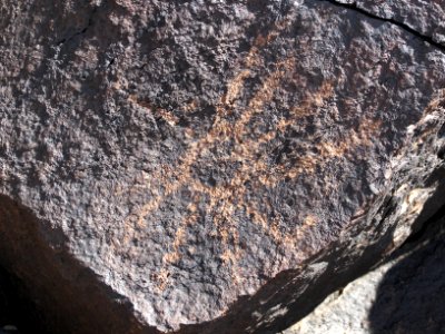 Rayed disk