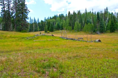 Kaibab Plateau Trail 101 photo