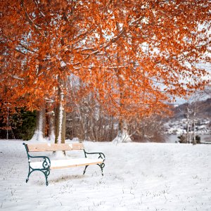 Between fall and winter there is a bench.