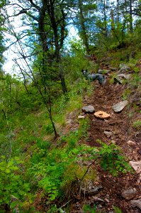 Little L.O. Trail No. 6
