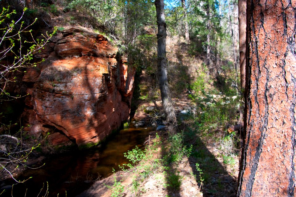 Secret Canyon Trail