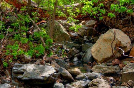 Kelsey Trail No. 3