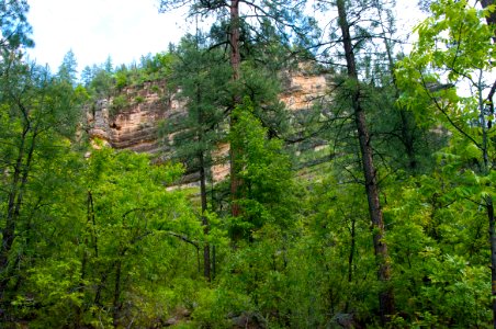 Little L.O. Trail No. 6