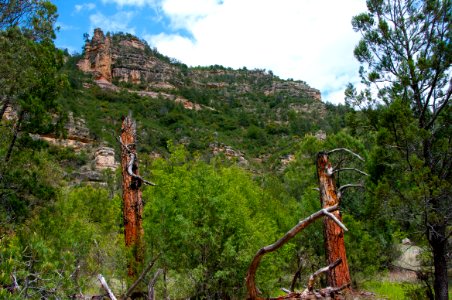 Little L.O. Trail No. 6