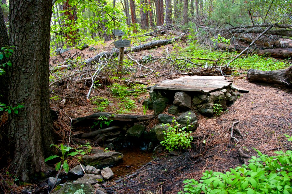 Babes Hole Spring