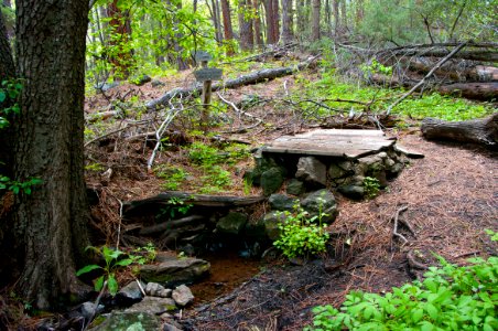 Babes Hole Spring