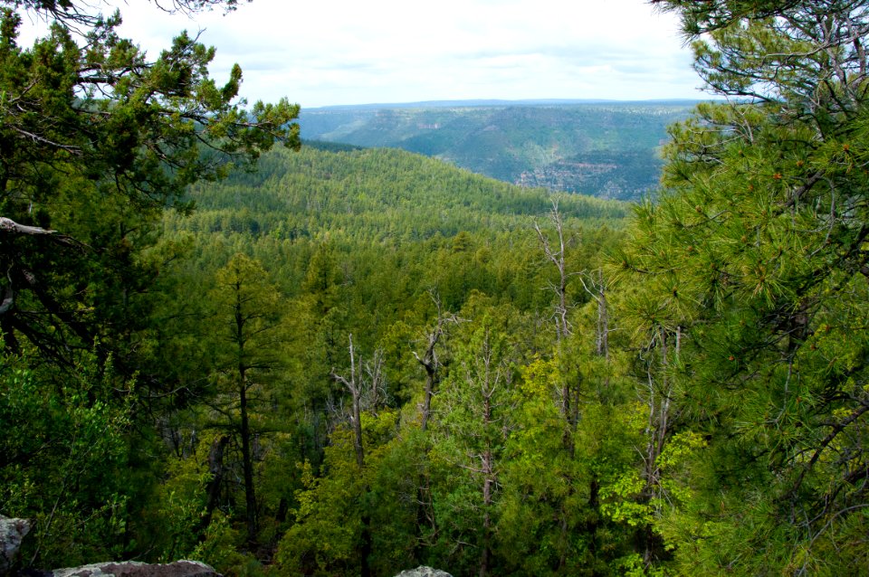 Kelsey Trail No. 3
