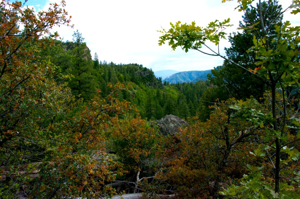 Kelsey Trail No. 3