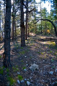 Secret Mountain Trail