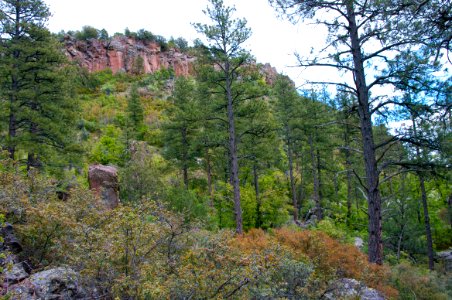 Kelsey Trail No. 3