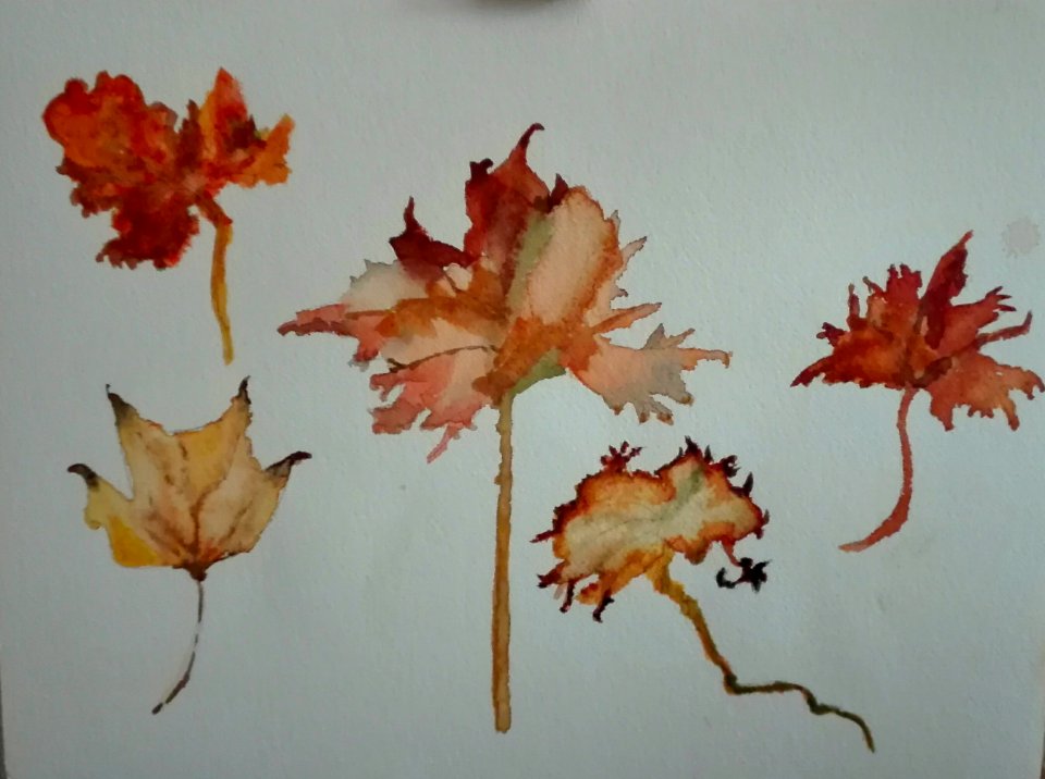 Aquarelle d automne