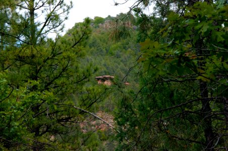 Little L.O. Trail No. 6