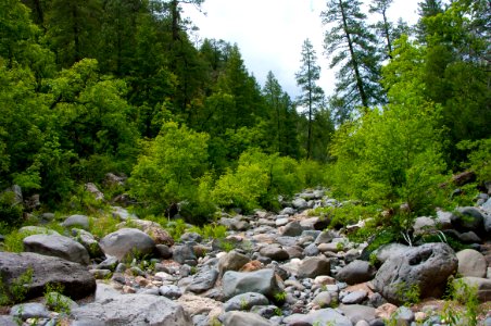 Little L.O. Trail No. 6