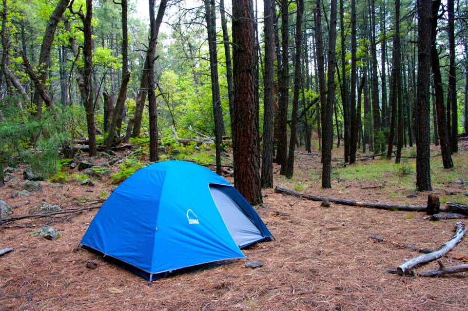 Camp at Babes Hole