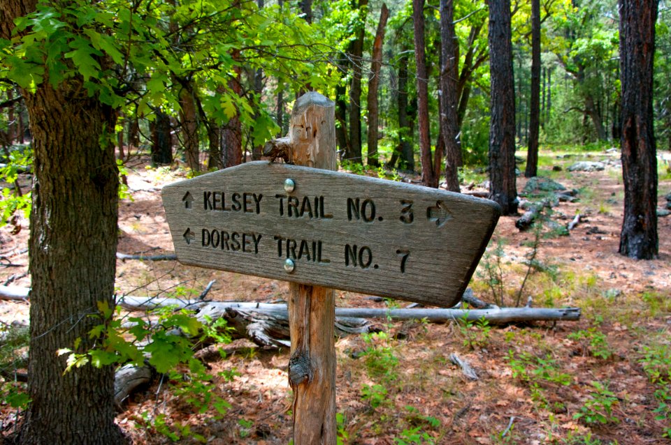 Dorsey Trail No. 7