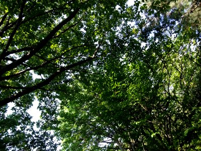 100616-143129-DSCF1996