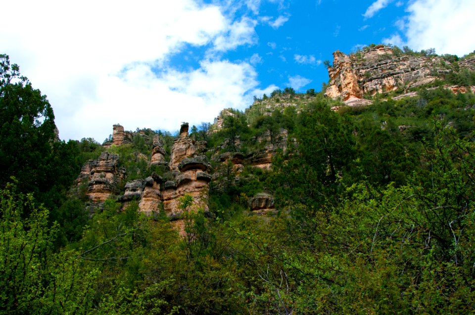 Little L.O. Trail No. 6