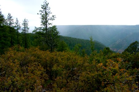 Kelsey Trail No. 3