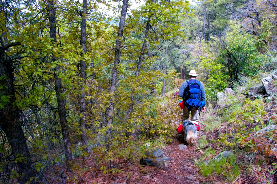 Kelsey Trail No. 3