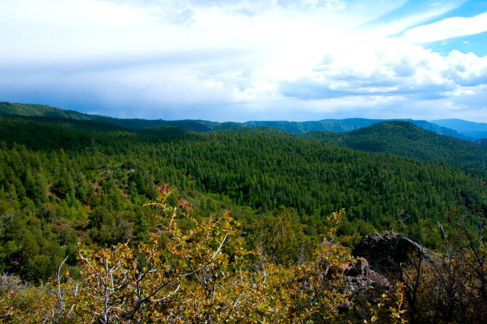Kelsey Trail No. 3