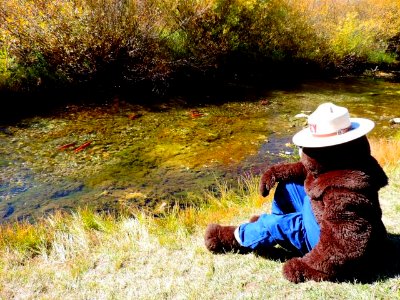 Smokey by the River