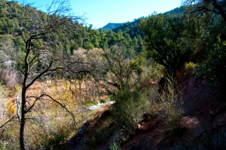 Fossil Springs Wilderness: Springs Area