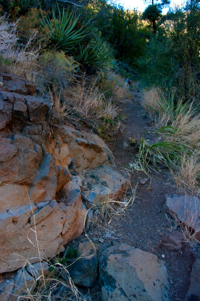 Flume Trail