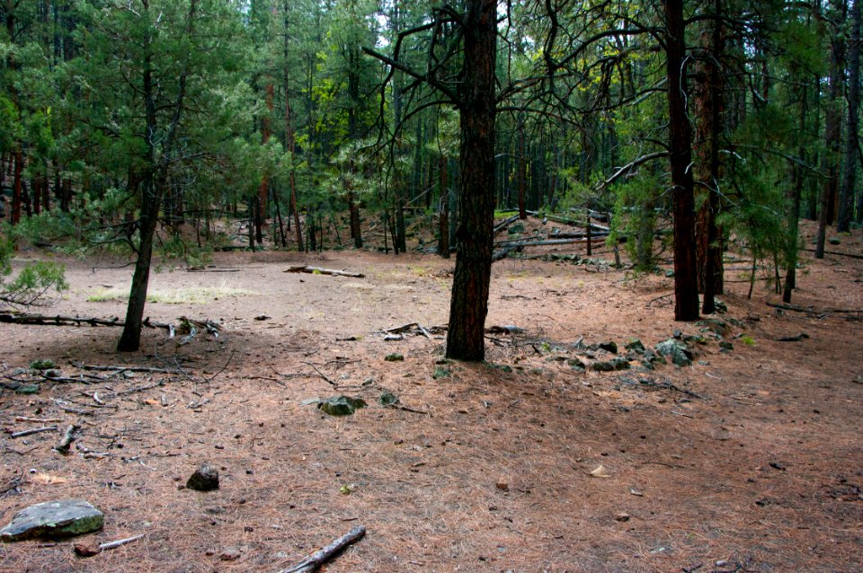 Old Cabin Site along Kelsey Trail No. 3