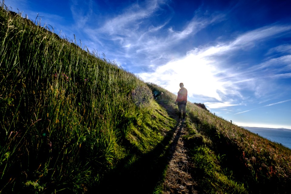 Encounters on the Pembrokeshire Coastal Path