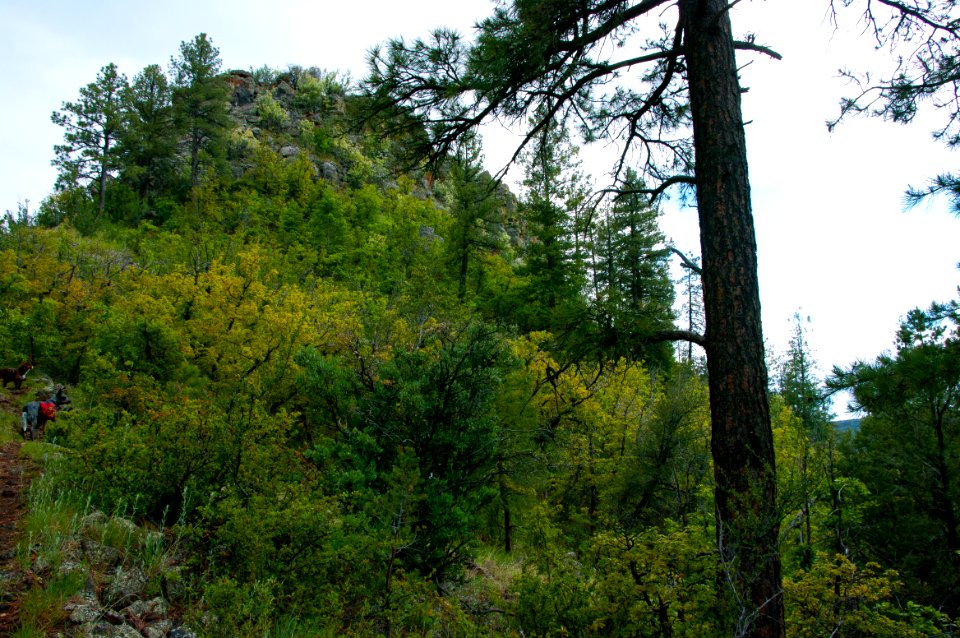 Kelsey Trail No. 3