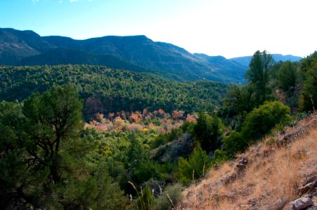 Flume Trail