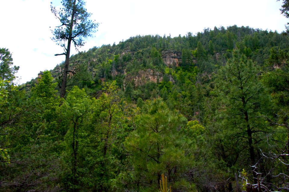 Little L.O. Trail No. 6