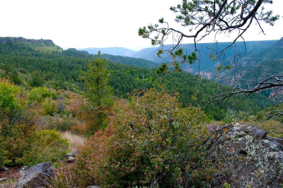 Kelsey Trail No. 3
