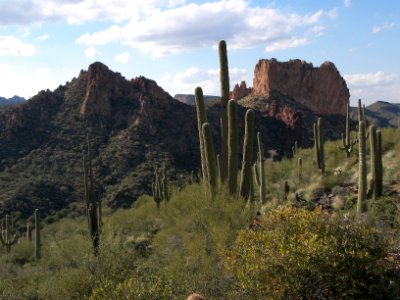 Superstition Wilderness