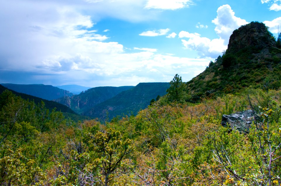 Kelsey Trail No. 3