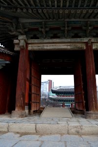 seoul flickr (81)