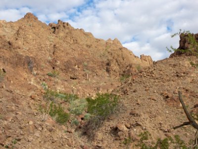Muggins Mountains