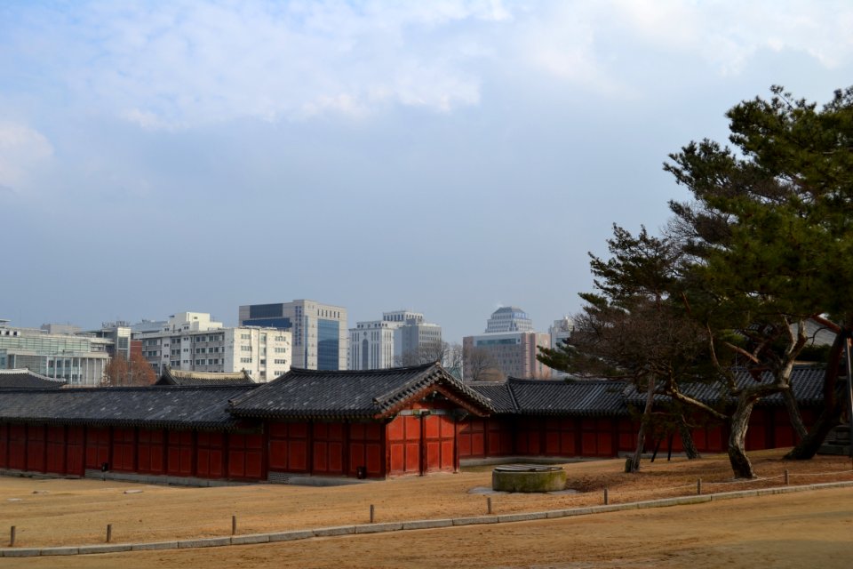 seoul flickr (59)