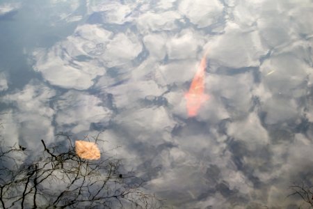 seoul flickr (72)