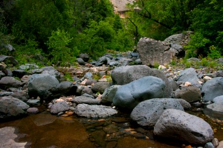 Little L.O. Trail No. 6