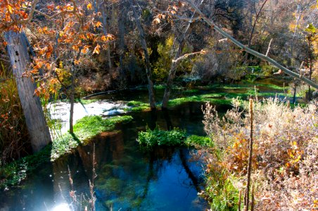 Fossil Springs Wilderness: Springs Area
