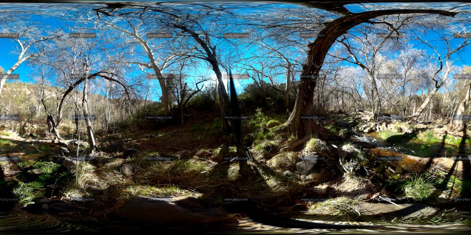 100 0017 Panorama