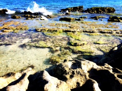 Lucky shoot today. With iPhone camera. Smartphonegraphy